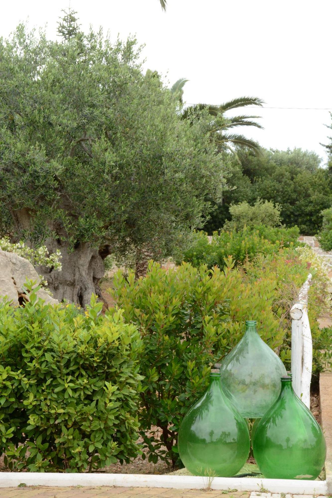 Villa Maria Conversano Exterior foto